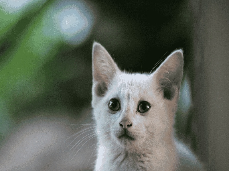 <strong>试管需要息肉处理（贵州供卵试管专家）</strong>