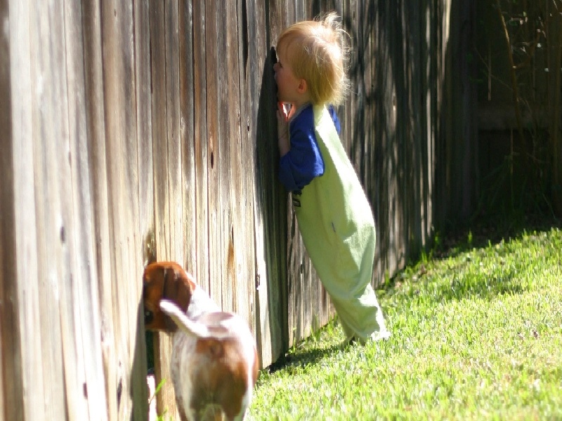 心态不好适合试管吗（试管移植后有泥巴）